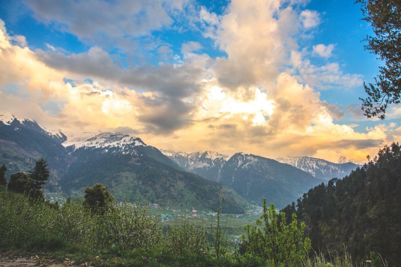 Pashmina Hotel - Manali (Himachal Pradesh), Manali